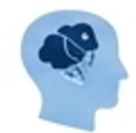 AI Solutions icon
